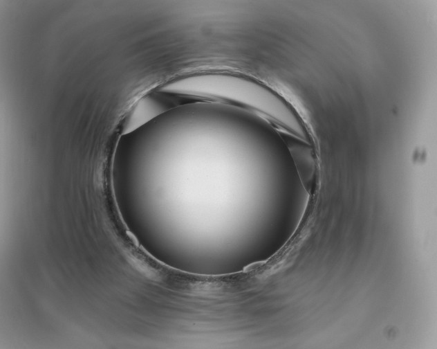X0000096130105200802011157