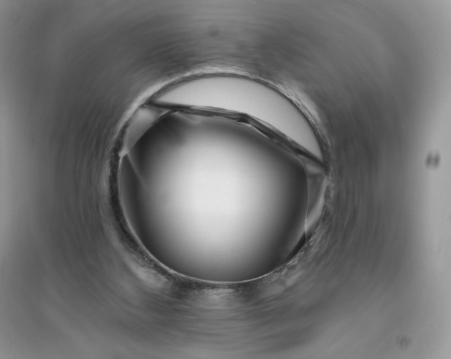 X0000096130108200802011157