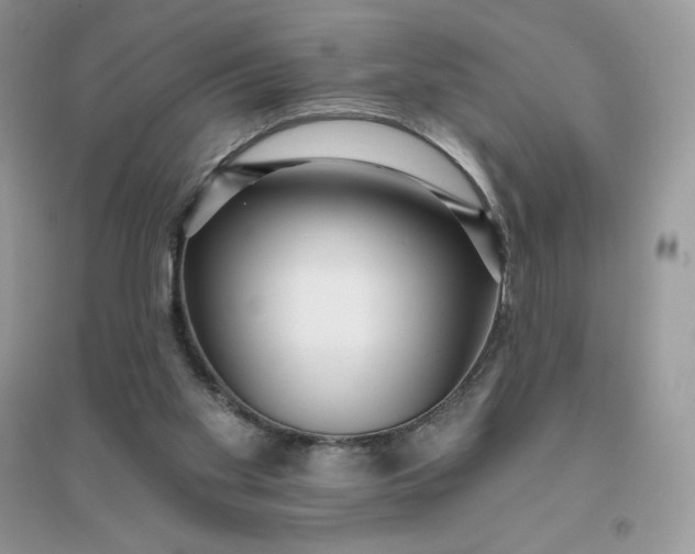 X0000096130109200802011157