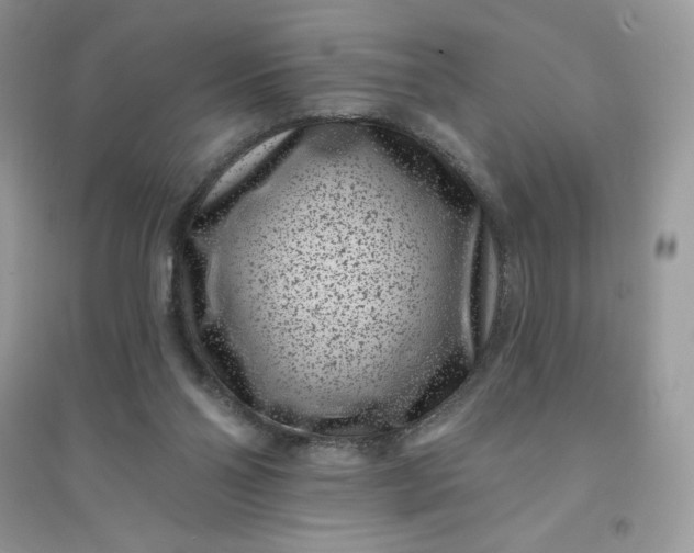 X0000096130110200802011157