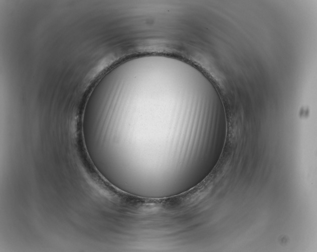 X0000096130111200802011157