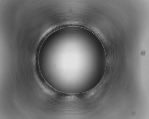 X0000096130112200802011157