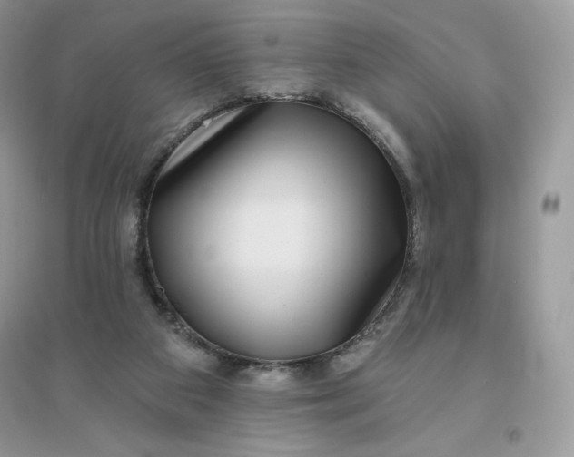 X0000096130113200802011157