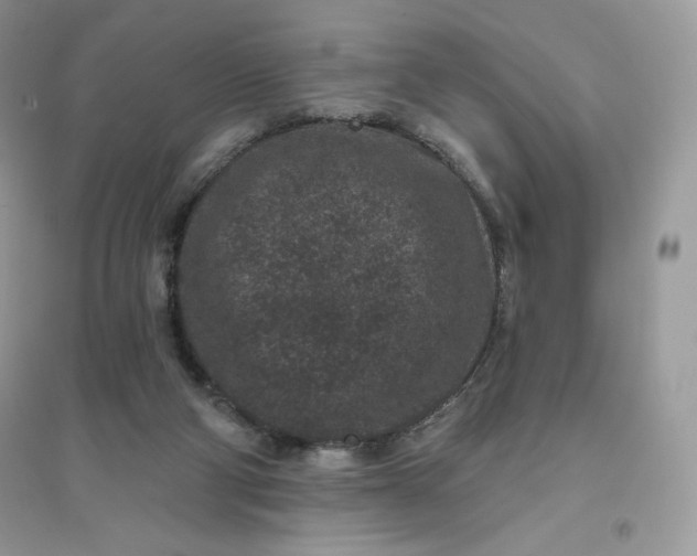 X0000096130114200802011157