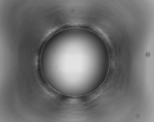 X0000096130115200802011157