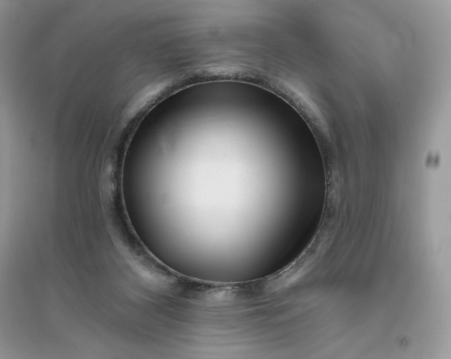 X0000096130116200802011157