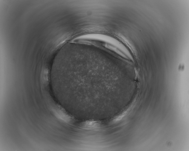 X0000096130117200802011157