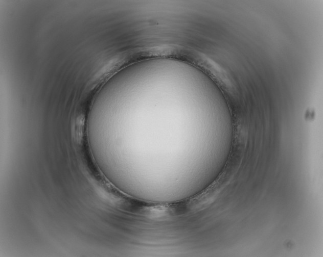 X0000096130118200802011157