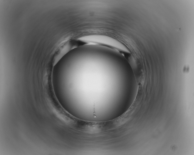 X0000096130120200802011157