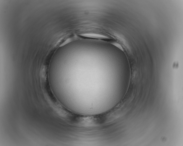 X0000096130121200802011157