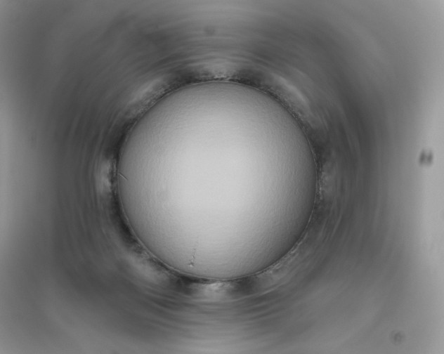 X0000096130122200802011157