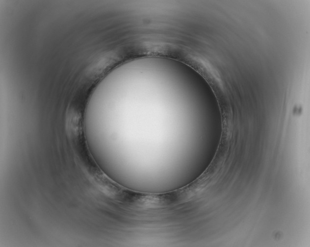X0000096130123200802011157