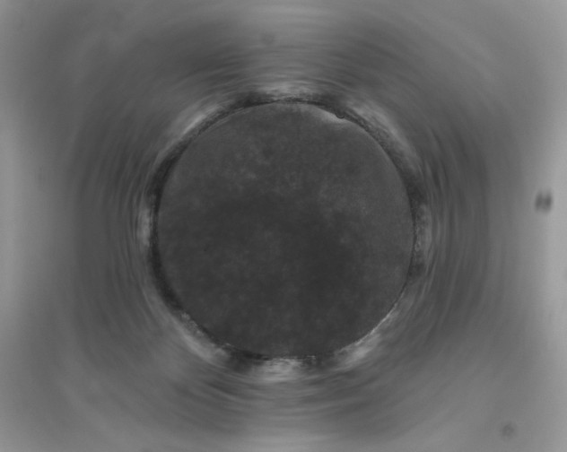 X0000096130124200802011157