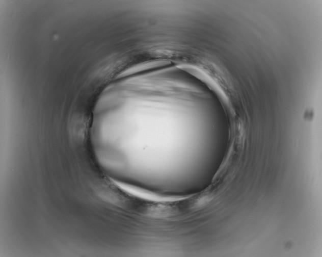 X0000096130125200802011157