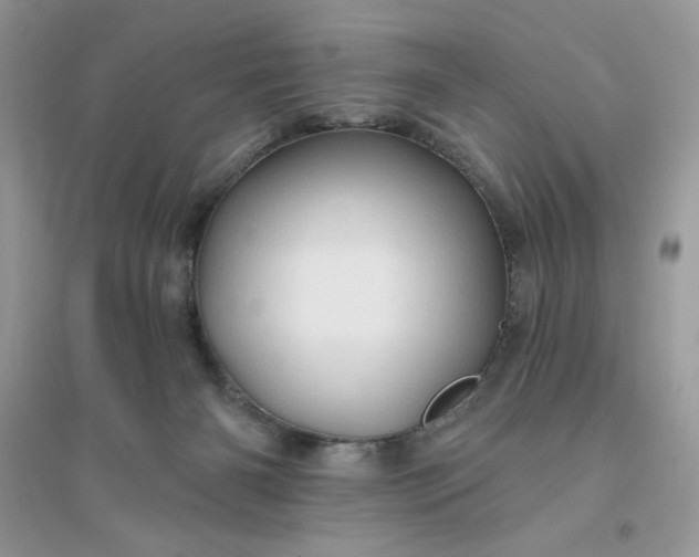 X0000096130126200802011157