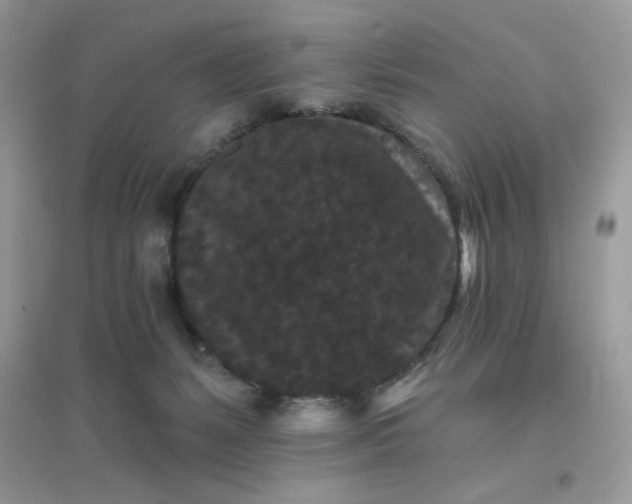 X0000096130127200802011157
