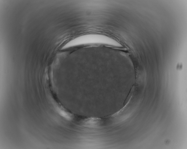 X0000096130128200802011157