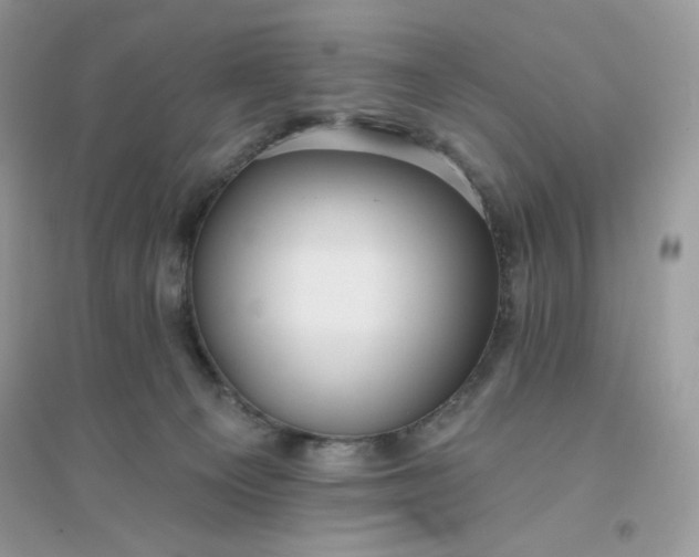 X0000096130129200802011157