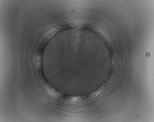 X0000096130130200802011157