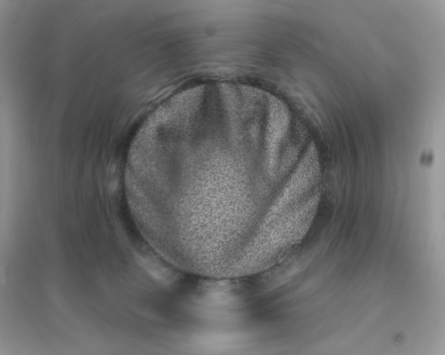 X0000096130131200802011157