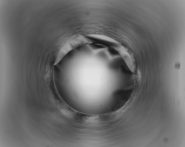 X0000096130132200802011157