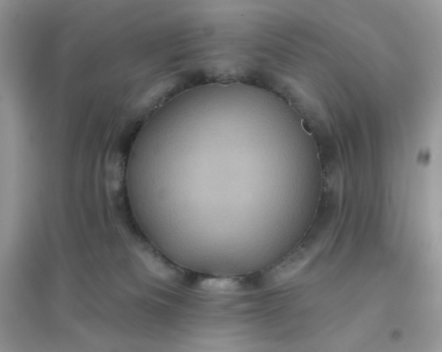 X0000096130133200802011157