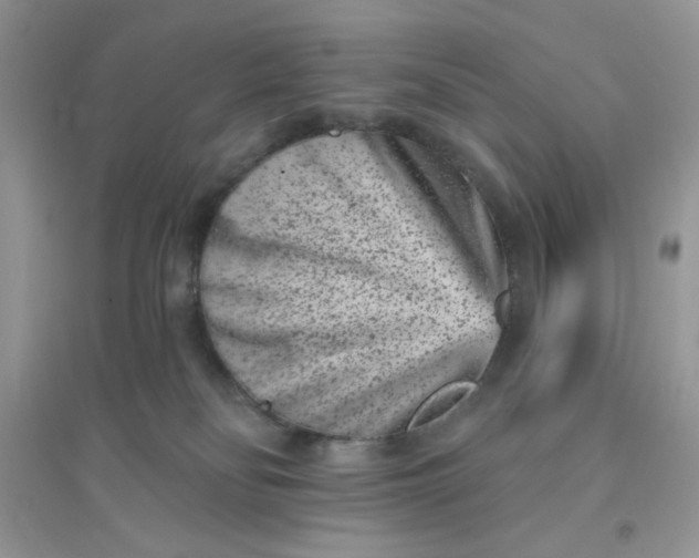 X0000096130134200802011157