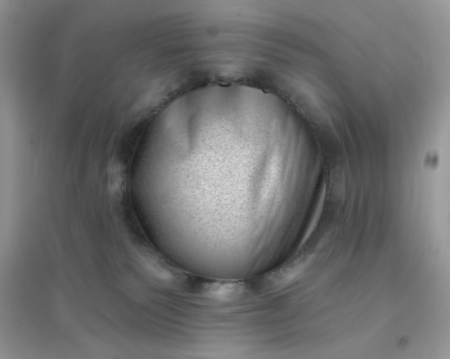 X0000096130135200802011157