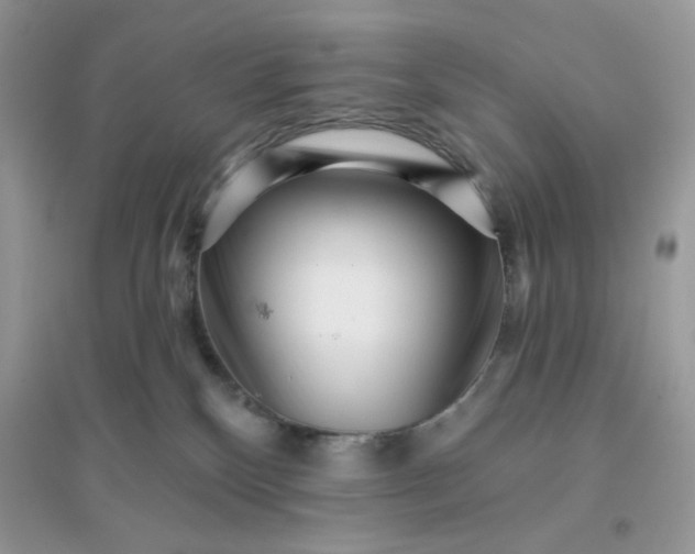 X0000096130136200802011157