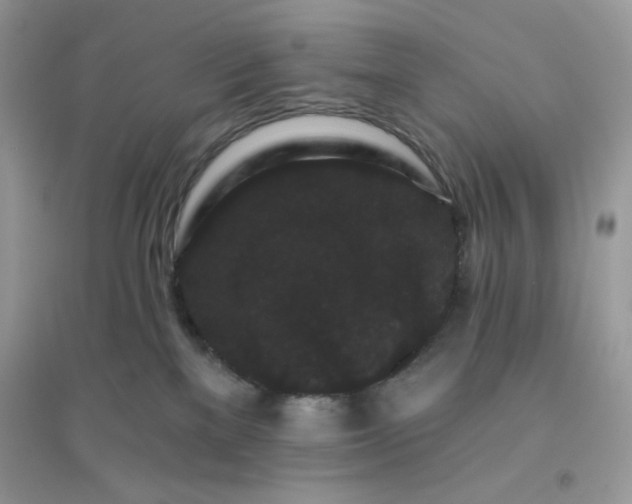 X0000096130137200802011156