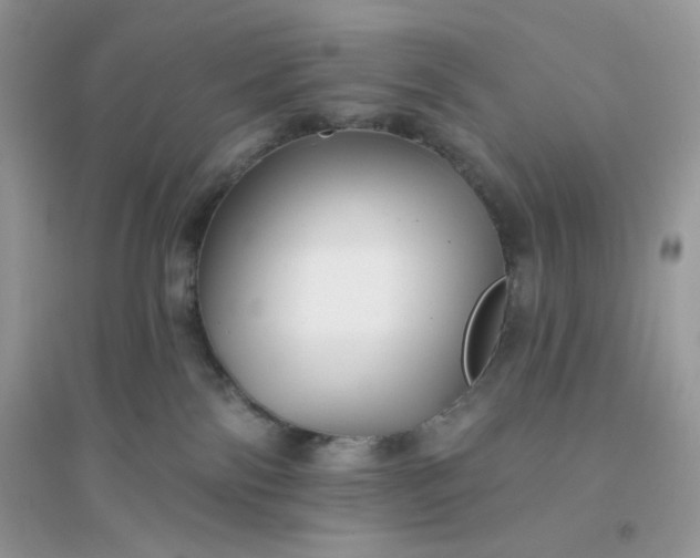 X0000096130138200802011156