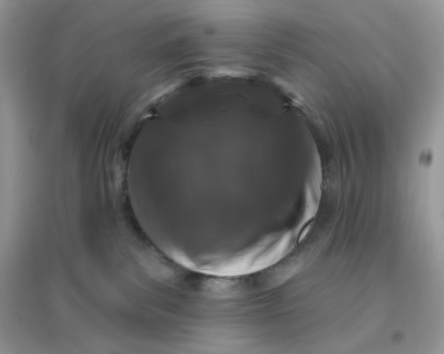 X0000096130139200802011156
