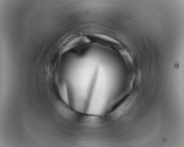 X0000096130140200802011156