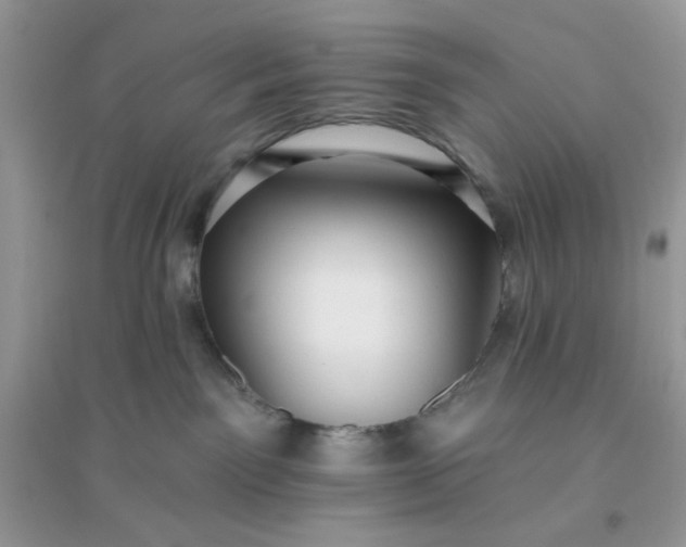 X0000096130141200802011156
