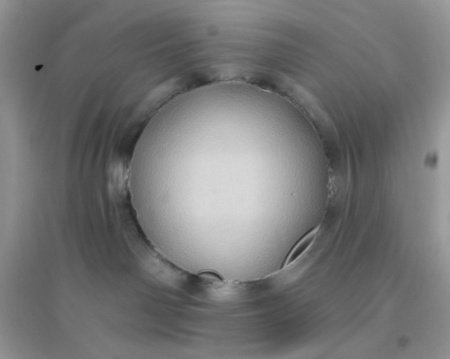 X0000096130142200802011156