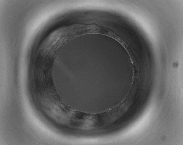 X0000096130143200802011156