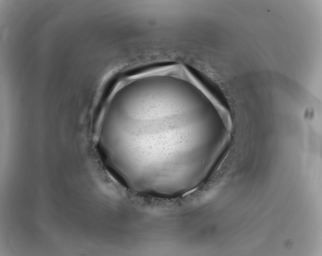 X0000096130144200802011156