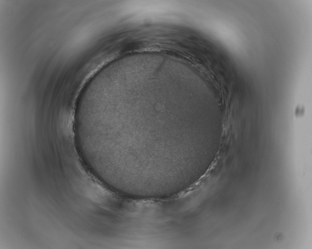 X0000096130146200802011156