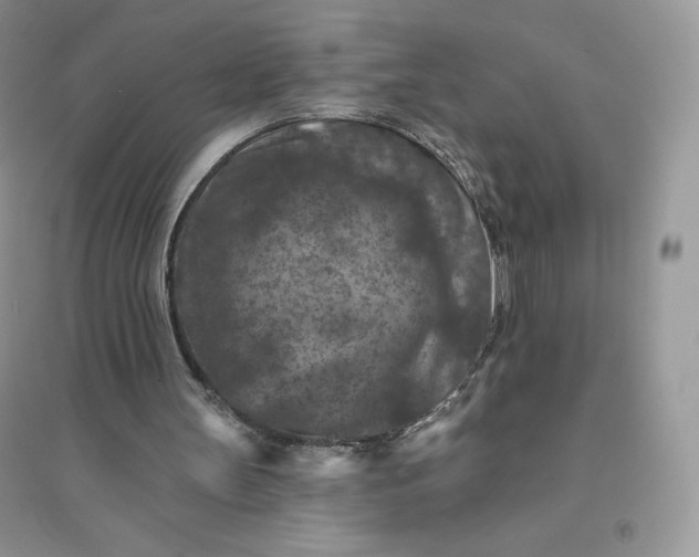 X0000096130147200802011156