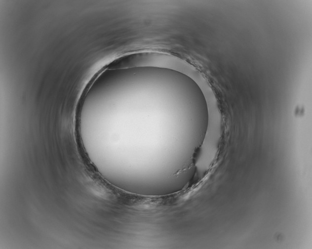 X0000096130148200802011156