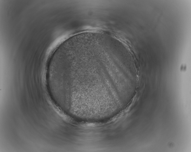 X0000096130149200802011156