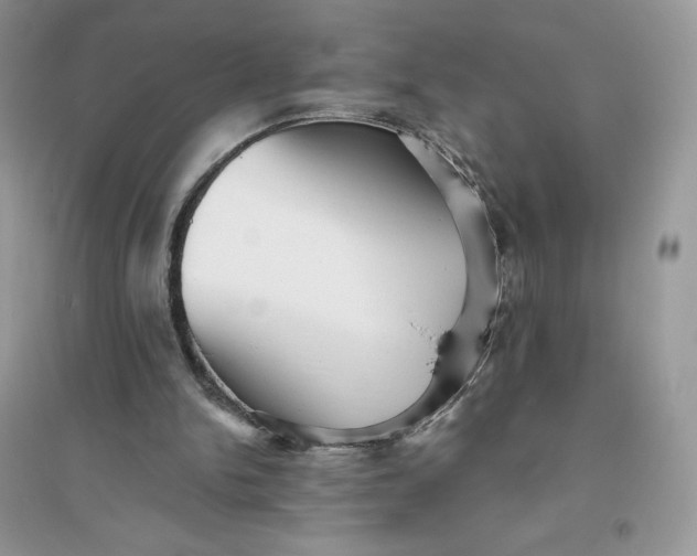 X0000096130150200802011156