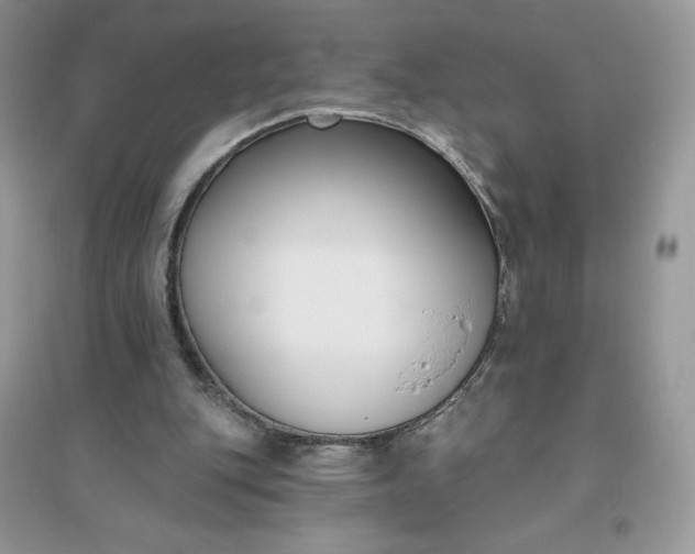 X0000096130151200802011156