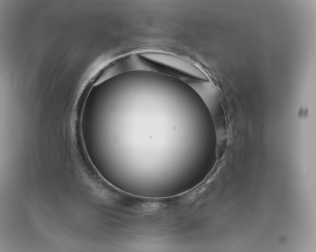 X0000096130152200802011156