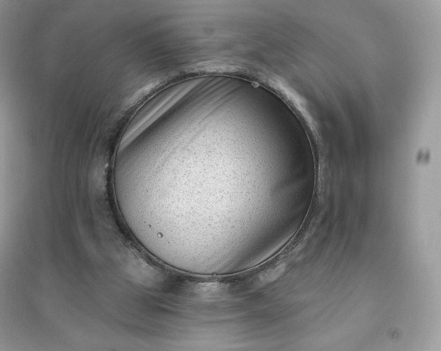X0000096130153200802011156