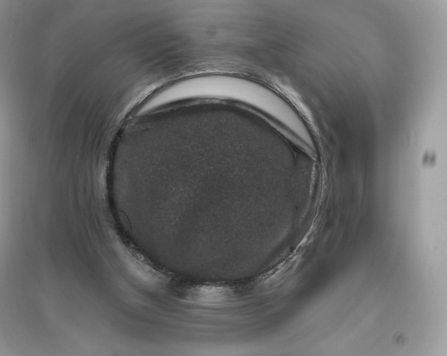 X0000096130154200802011156