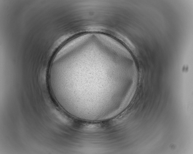 X0000096130155200802011156