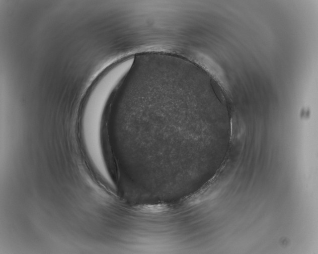 X0000096130156200802011156