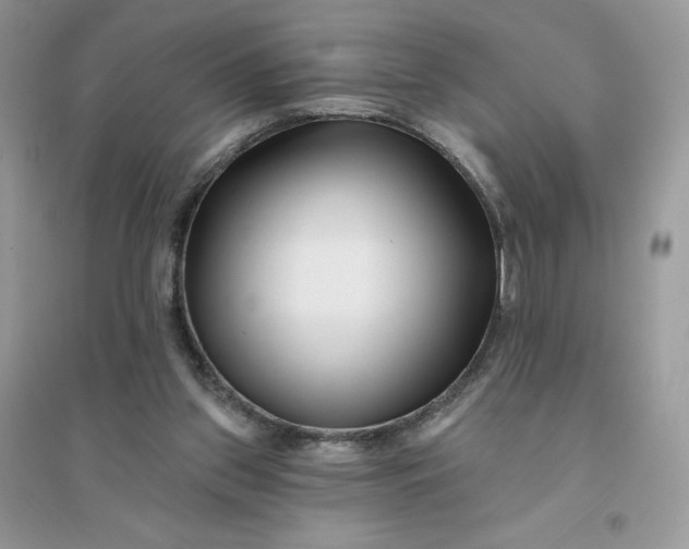 X0000096130157200802011156