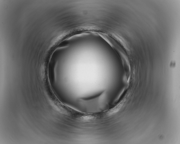 X0000096130158200802011156